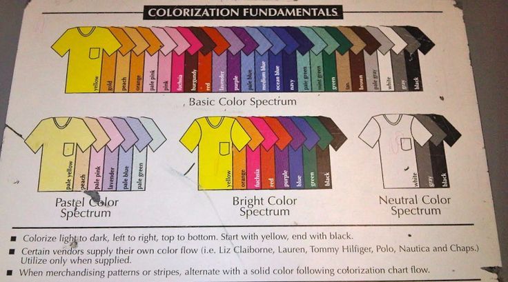 Organization Chart