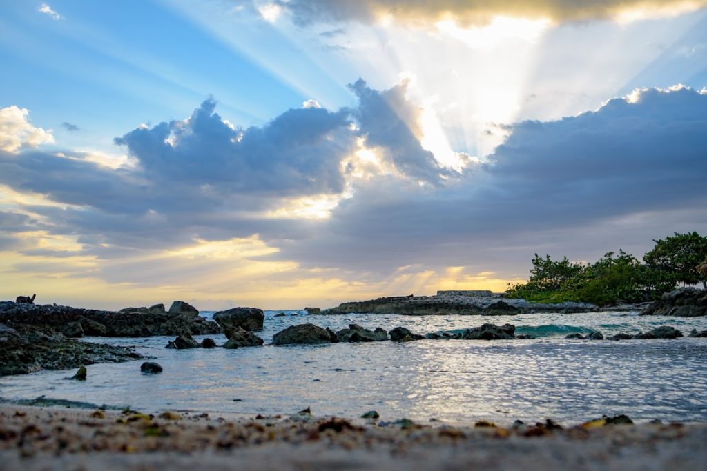 Silo Wellness Jamaica