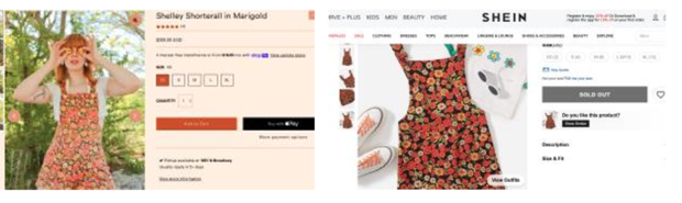 SHEIN RICCO Lawsuit 