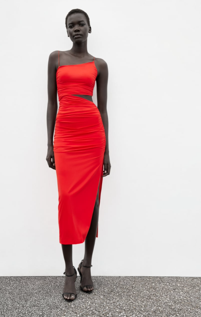 Zara Holiday Dress